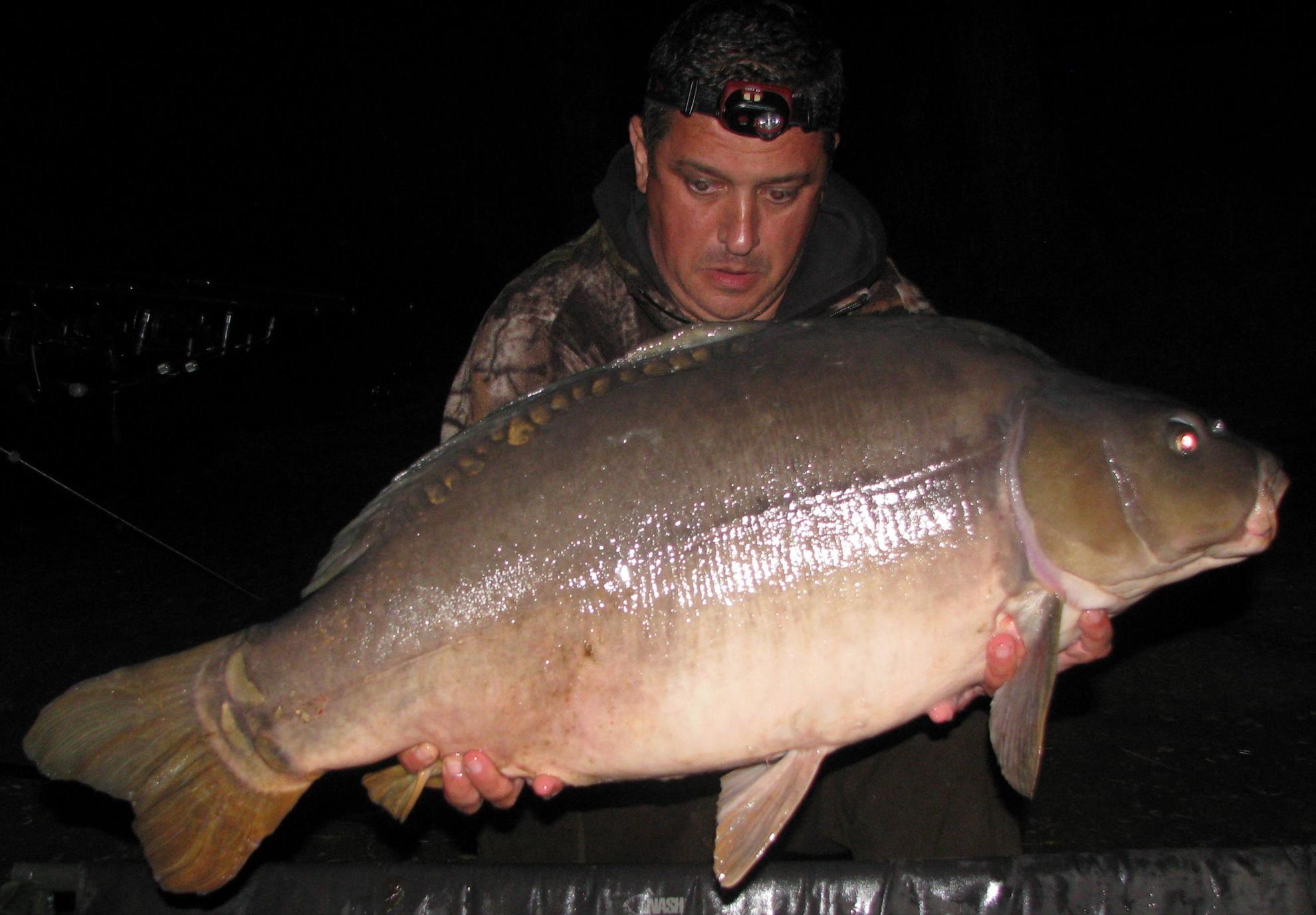 Pelagicevo Jezero - final iunie 2015 - img2185.JPG